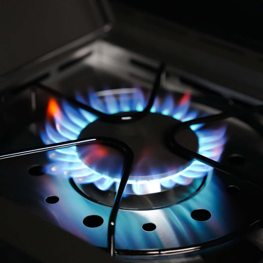 Eminence 425 | Iconic Fortified Propane Gas Grill